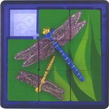 3D Sliding Puzzle: Dragonfly