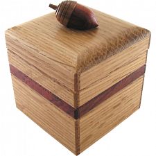 Acorn