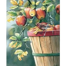 Apple Harvest