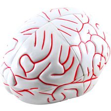 Crazee Brain