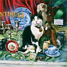 Cat-ology - Jess