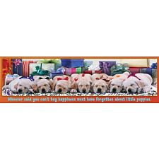 Panoramic: Little Puppies