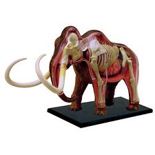 Anatomic Mammoth Puzzle