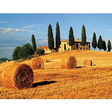 Tuscan Landscape