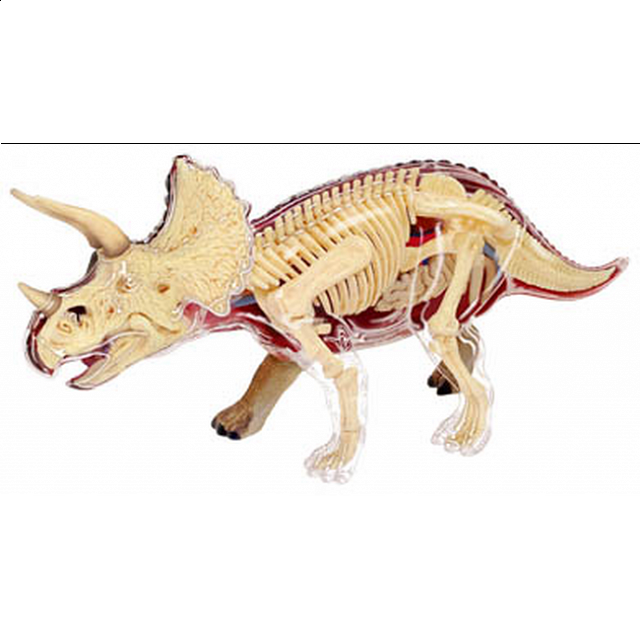 4d Vision - Triceratops Anatomy Model
