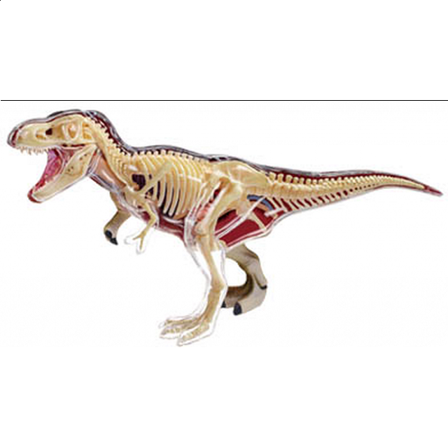 4d Vision - T-rex Anatomy Model