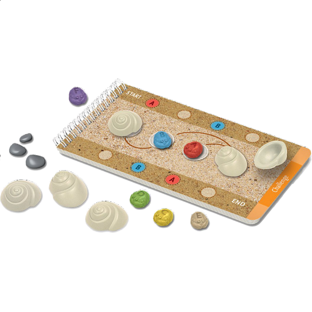 Shell Game | Puzzle Games | Puzzle Master Inc