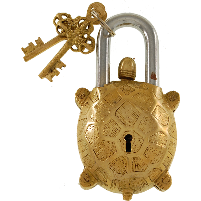 Brass Tortoise Trick Puzzle Padlock Wire & Metal Puzzles Puzzle