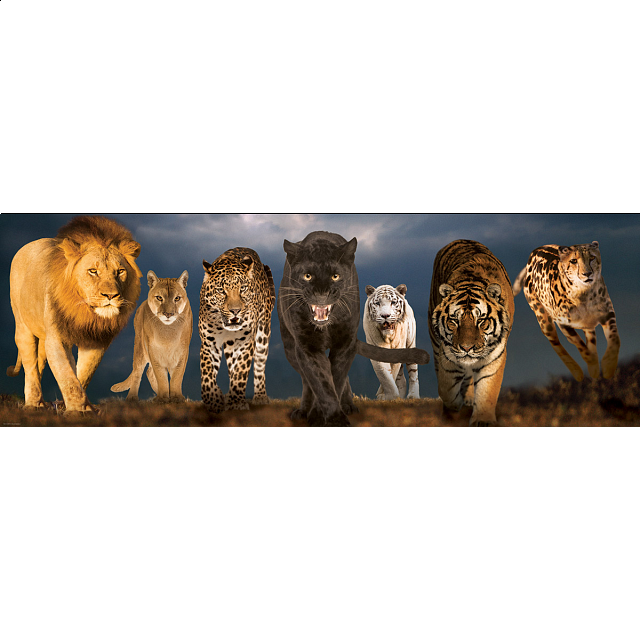 Big Cats Panoramic Puzzle Panoramics Puzzle Master Inc