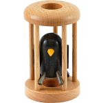 Blackbird in a Cage