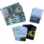 Playing Cards - Cat Pet Care/Training Tips and Recipes