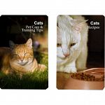 Playing Cards - Cat Pet Care/Training Tips and Recipes