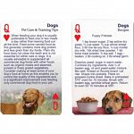 Playing Cards - Dog Pet Care/Training Tips and Recipes