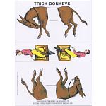 Famous Trick Donkeys - Large Commemorative Edition image