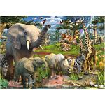 At the Waterhole