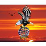 Eagle - Illuminated 3D Wooden Puzzle