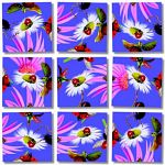 Scramble Squares - Ladybugs image