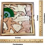 Baseball Fanatic Puzzle