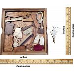 Medical Emergency Puzzle