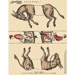 Famous Trick Donkeys - Color - Japanese
