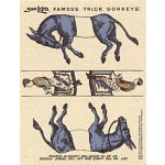 Famous Trick Donkeys - Color - Postcard - English - Blue