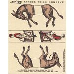 Famous Trick Donkeys - Color Puzzle Master Logo