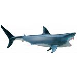 4D Vision - Great White Shark Anatomy Model