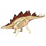 4D Vision - Stegosaurus Anatomy Model image