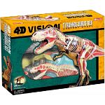 4D Vision - Deluxe Tyrannosaurus Rex Anatomy Model