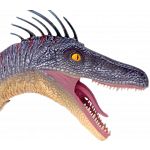 4D Vision - Deluxe Velociraptor Anatomy Model