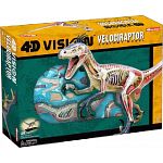 4D Vision - Deluxe Velociraptor Anatomy Model