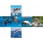 V-CUBE 2 Pillow (2x2x2): Dolphin Cube