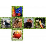 V-CUBE 2 Pillow (2x2x2): Unique Birds