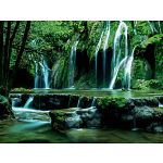 Magic Forests: Cascades