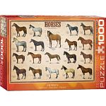 Horses
