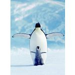 Penguin & Chick