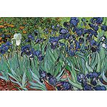 Vincent Van Gogh - Irises image