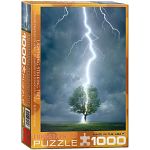 Lightning Striking Tree