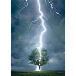 Lightning Striking Tree