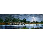 AVH Panorama: Herd of Elephants