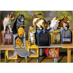 Cat's Got Mail - Large Piece Format