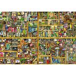 Magical Bookcase