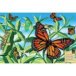 Floor Puzzle: Life Cycle of a Monarch Butterfly
