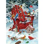 Adirondack Birds