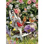 Summer Adirondack Birds