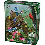 Birds of the Forest