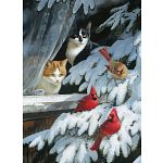 Bird Watchers