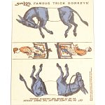 Famous Trick Donkeys - Color - English - Blue