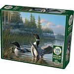 Common Loons