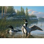 Common Loons image